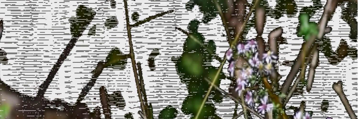 merlerker's profile banner image