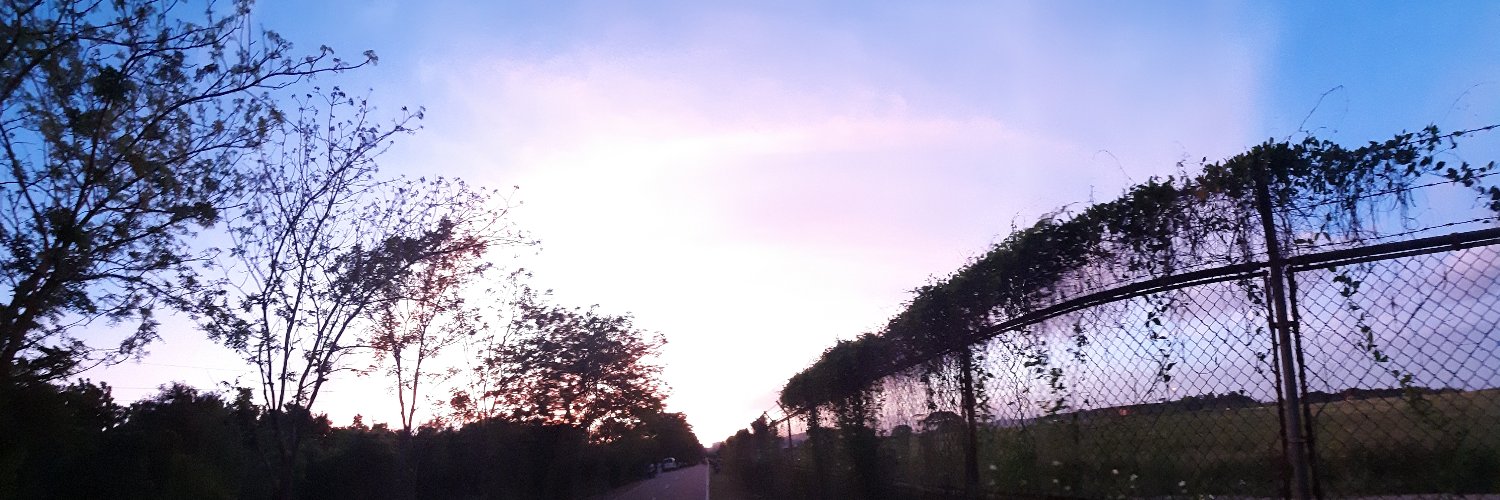 euzue_'s profile banner image