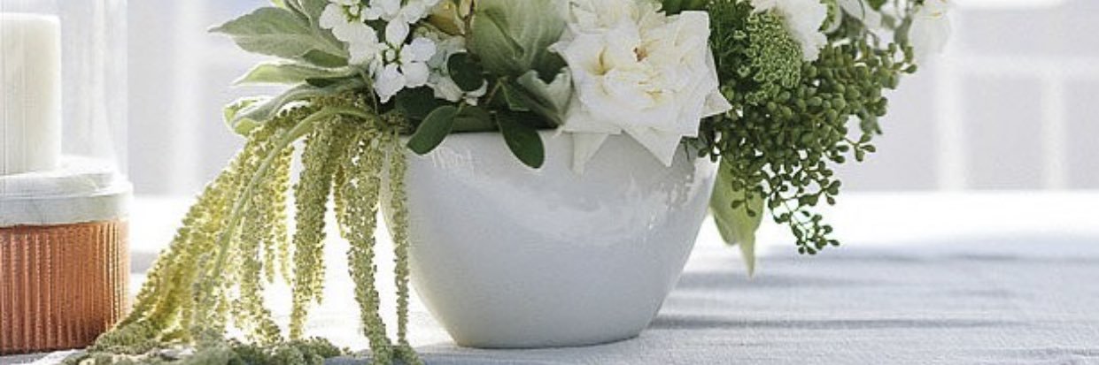 Naleli_Shale's profile banner image