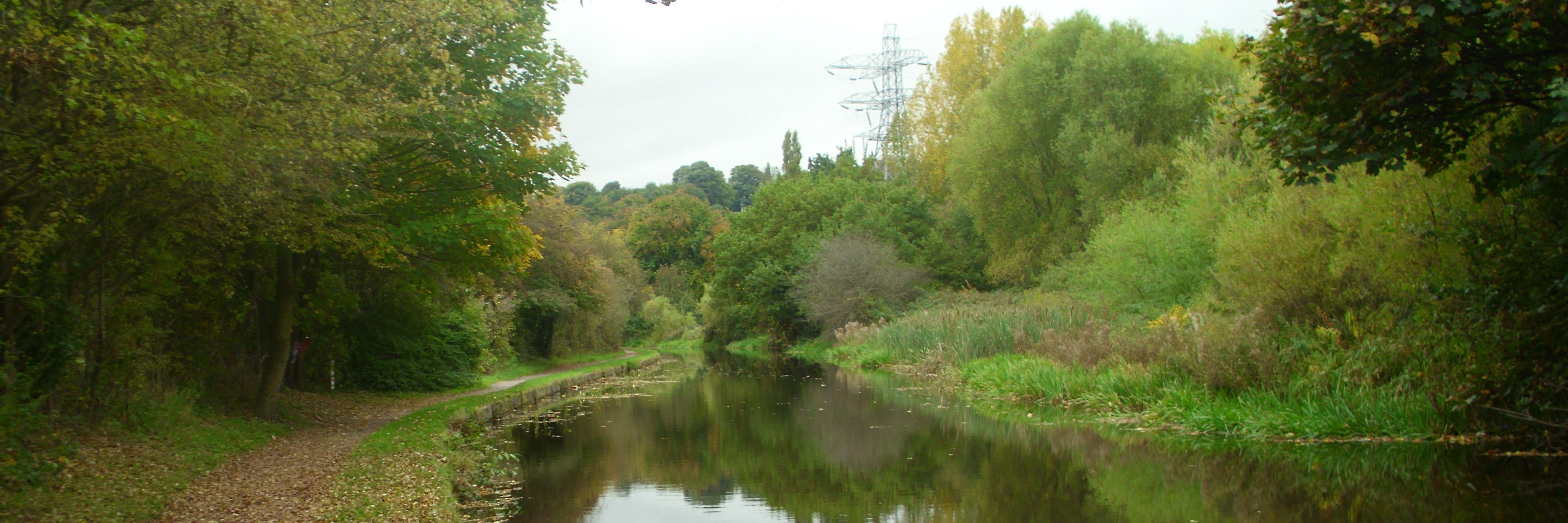 YorkshireGreen's profile banner image