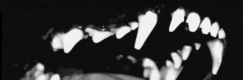 zzeezzh's profile banner image