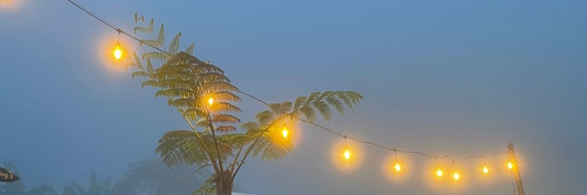 syandrafara's profile banner image