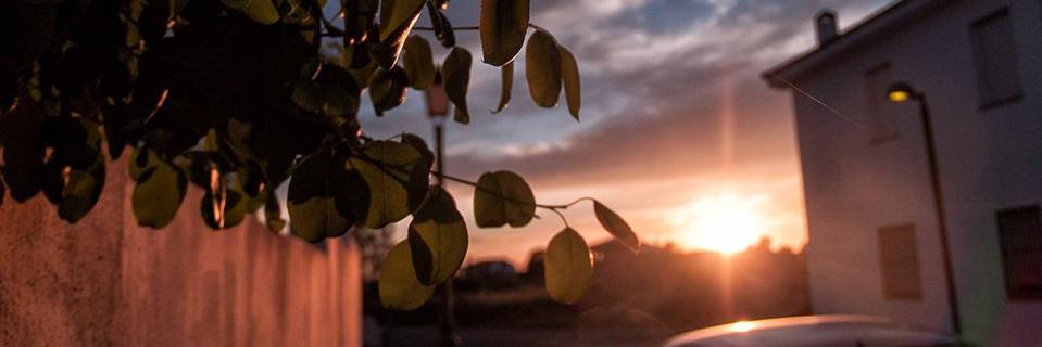 FcoTorrado's profile banner image