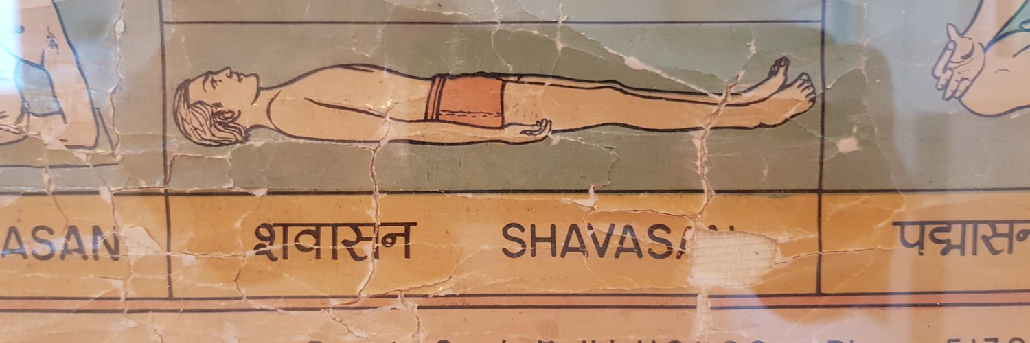 Seb Frost 🌳🚲🌳🚶‍♂️🌳 banner