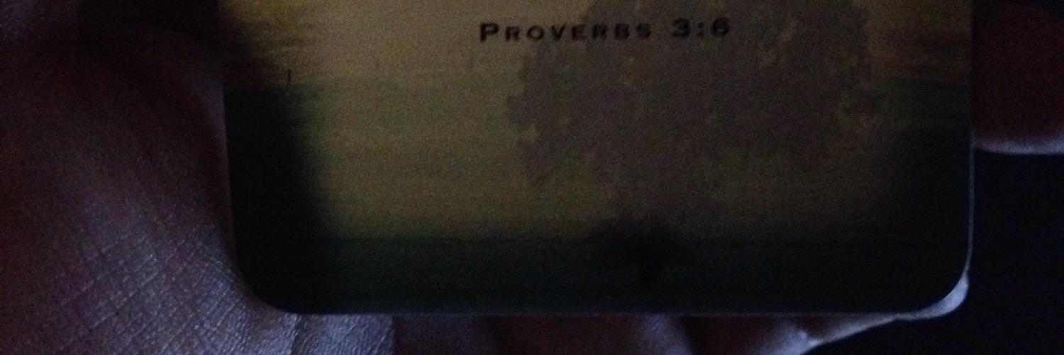 winterprince93's profile banner image