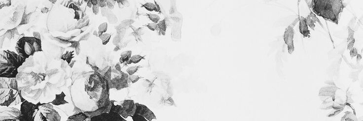 MervsViray's profile banner image