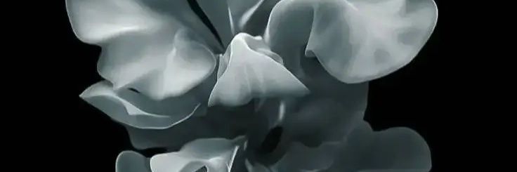 Olamitolekan's profile banner image