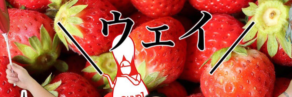 chaser_orca's profile banner image