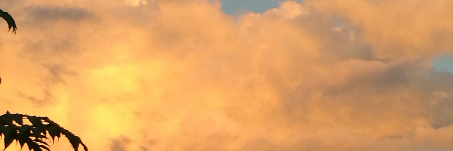 BridgeeNZ's profile banner image
