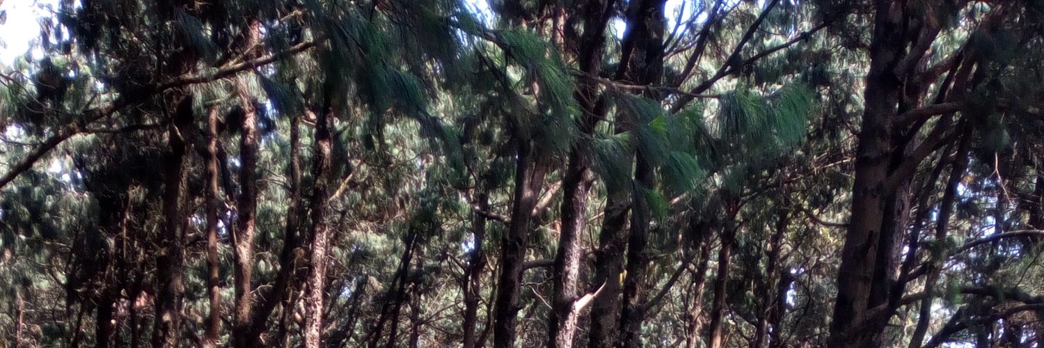AmbassadorBomet's profile banner image