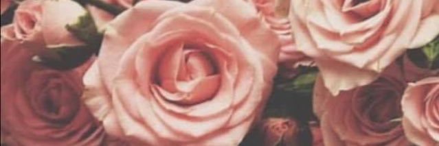 FrancescaRaspat's profile banner image