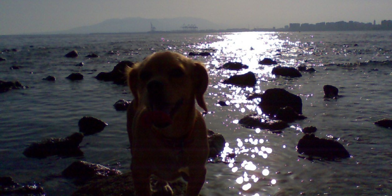 AvePM's profile banner image