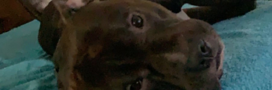 Judgyyyyyyyyyy's profile banner image