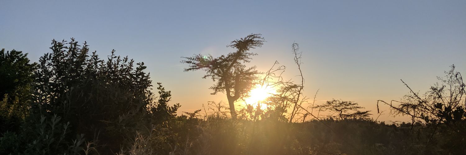 MikeGambi's profile banner image
