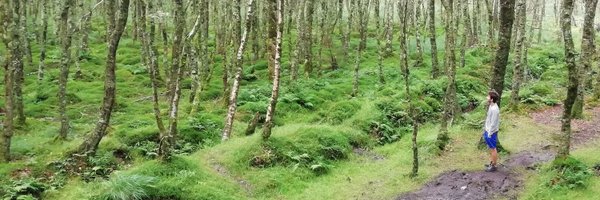 ArguJavier Profile Banner