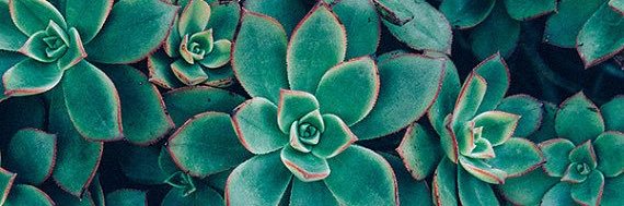 christinaminn's profile banner image