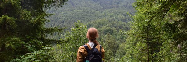 kaosteorin Profile Banner