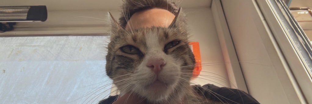 eyeofthecat_'s profile banner image