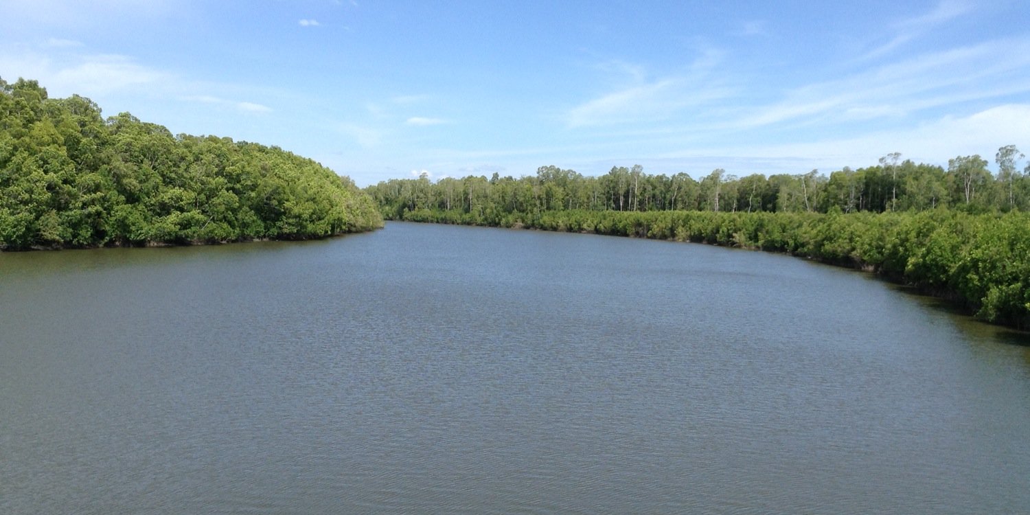 Daniel Zacharias banner