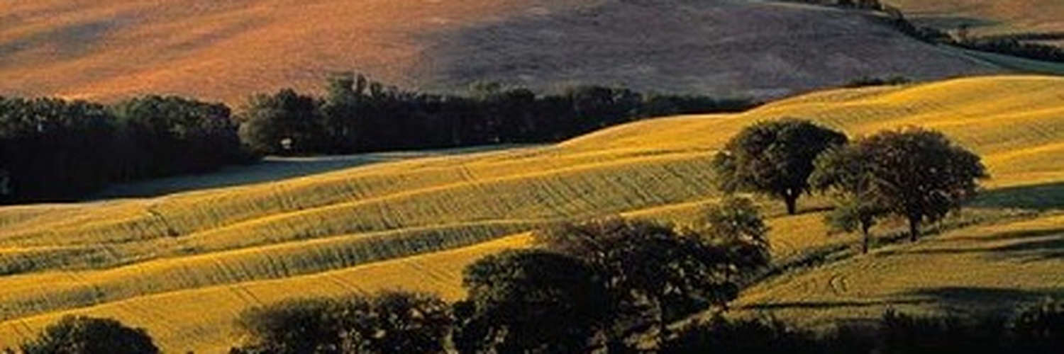 lmaraneta's profile banner image