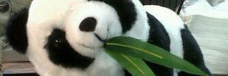 melonchubby21's profile banner image