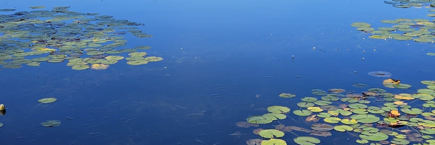 _bugasuga's profile banner image