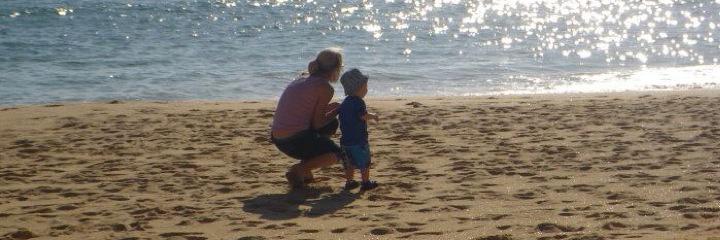 louise blizzard banner