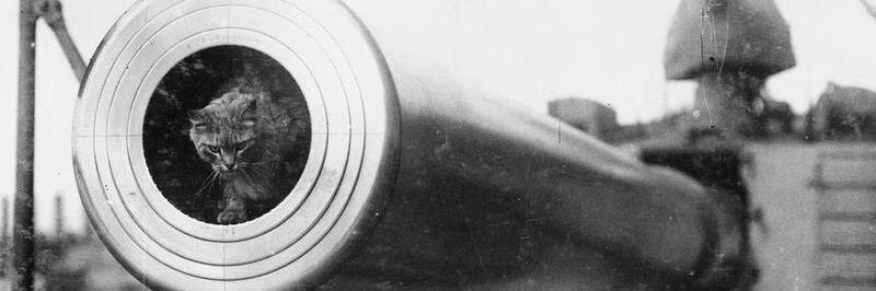 imaginary_111's profile banner image