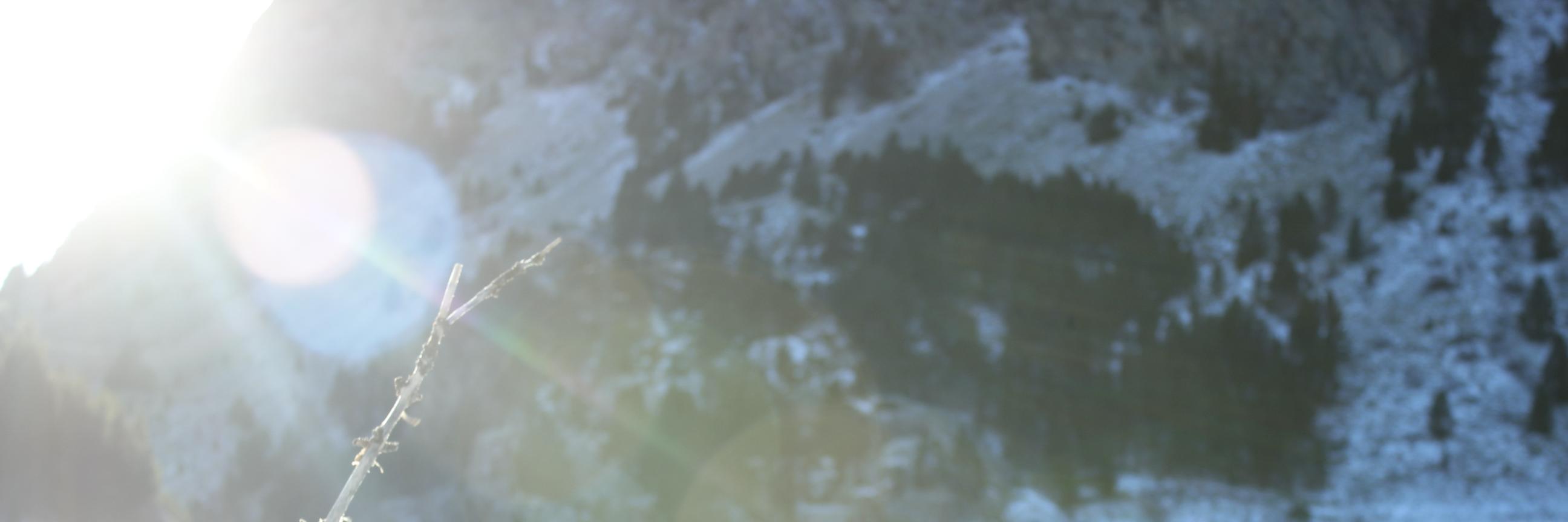 RaquelLarrosa's profile banner image