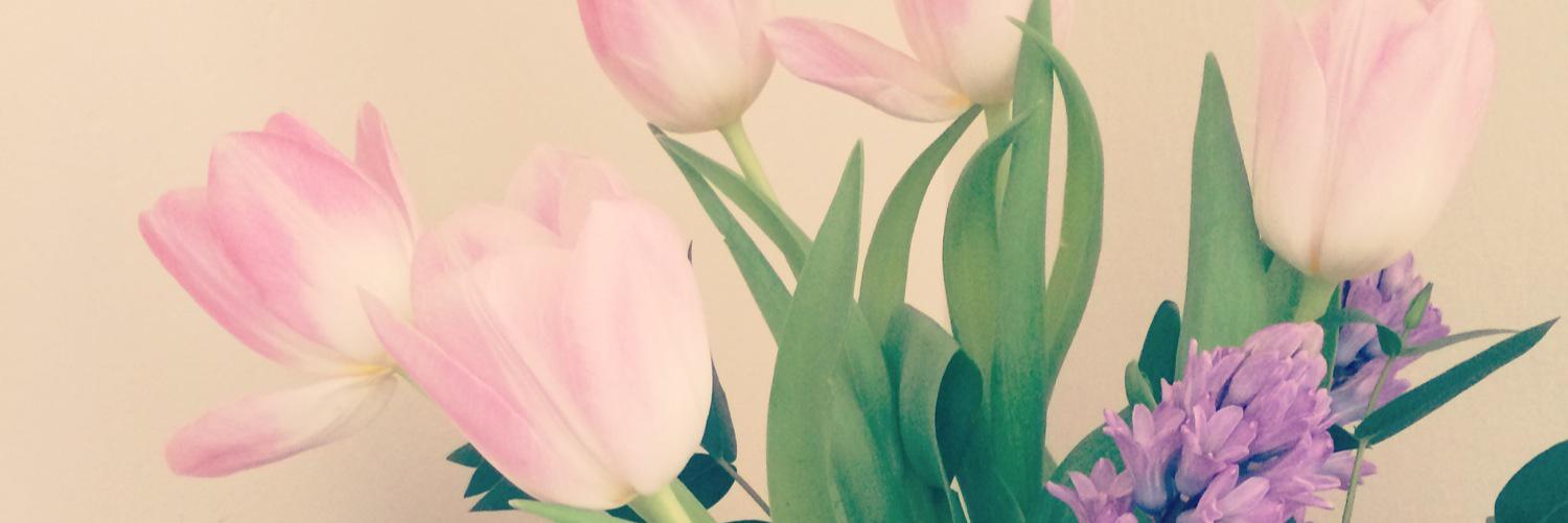Bexta_V's profile banner image