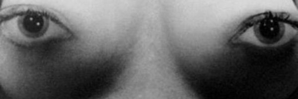 HerbertLeopard Profile Banner