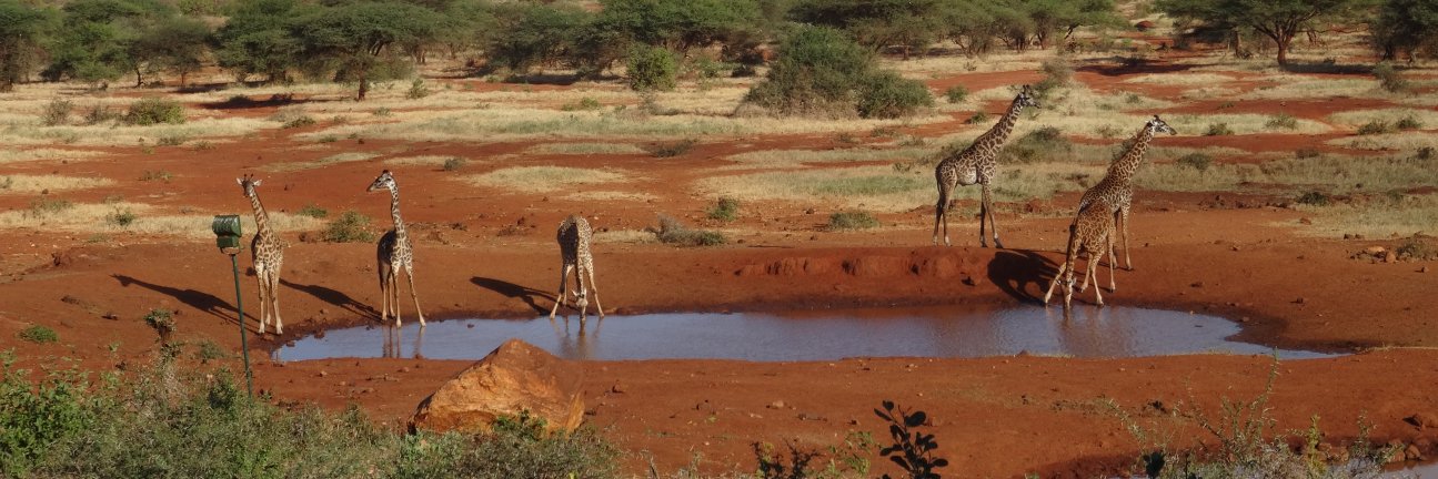 Yoweri 🇰🇪 banner