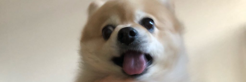 _yry1022's profile banner image