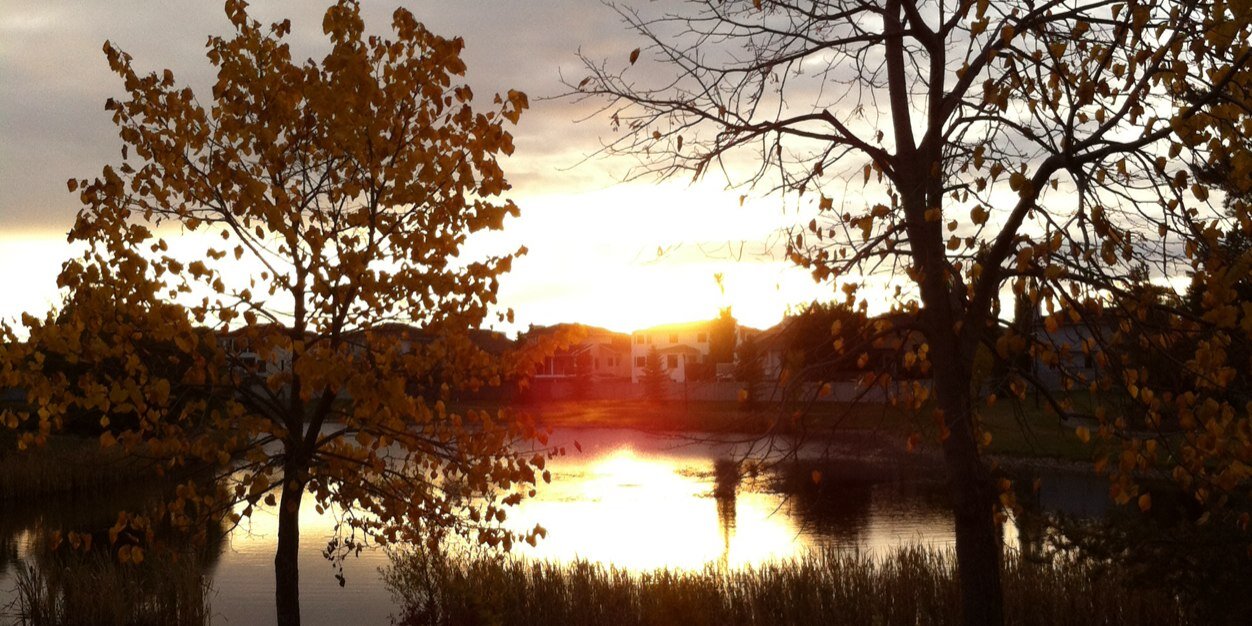 edmontonassist's profile banner image