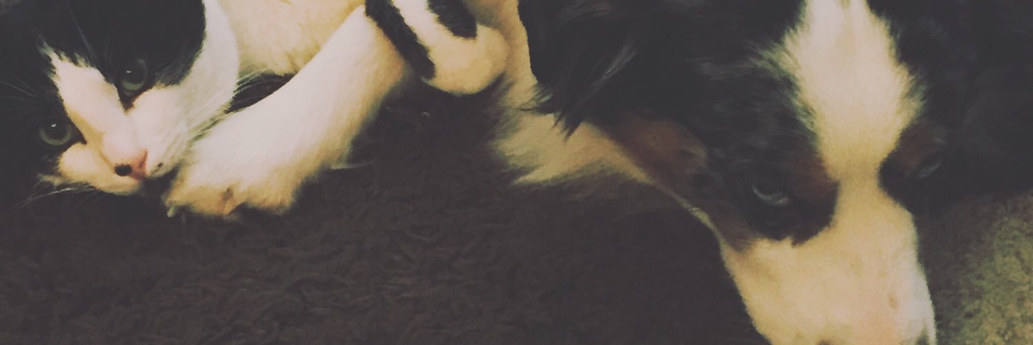 AshleyGreene7's profile banner image