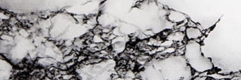 chloe_odonnell3's profile banner image