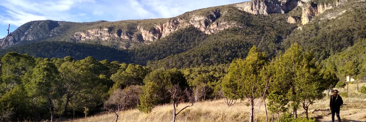 memoramgar's profile banner image