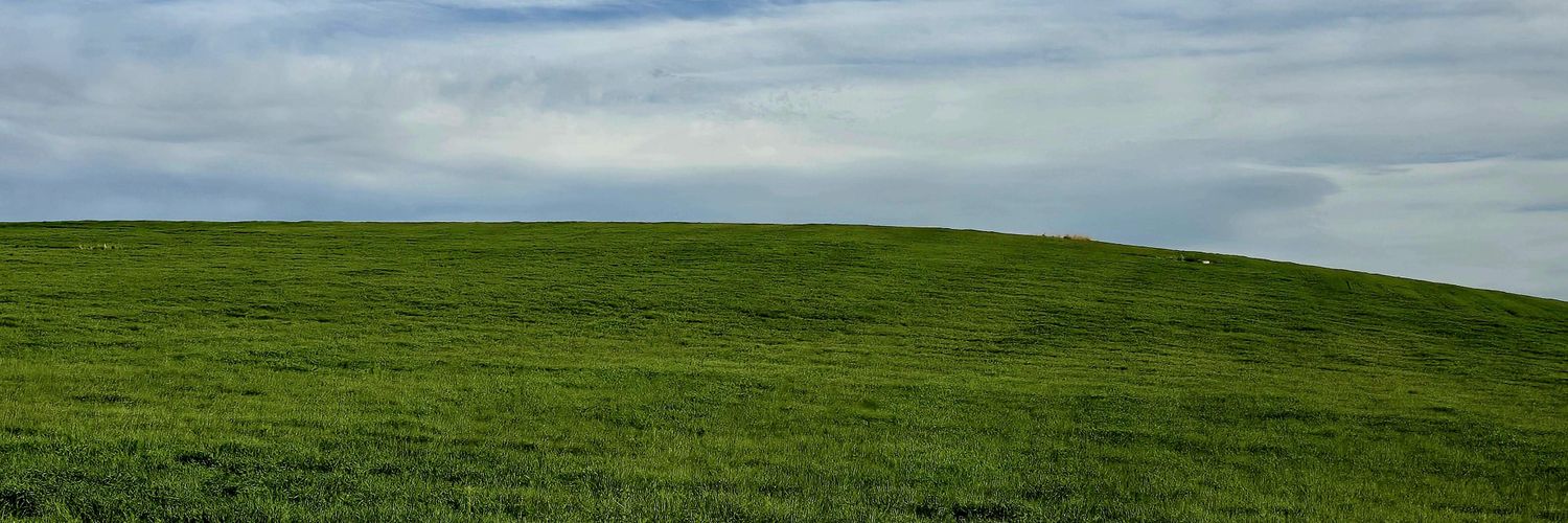hipoglisemi1's profile banner image