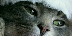 CaleroHotmail's profile banner image