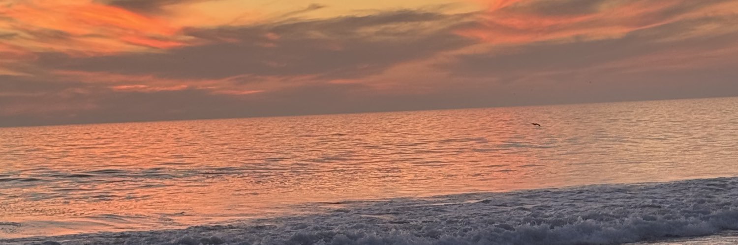 tellio shough⚜️ banner