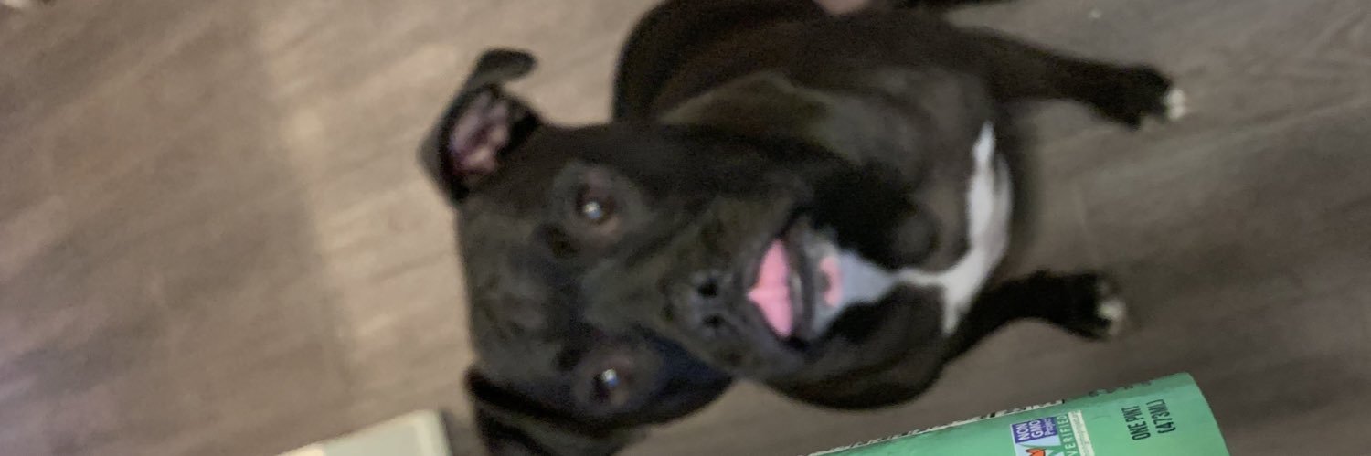 Rachel Conway banner