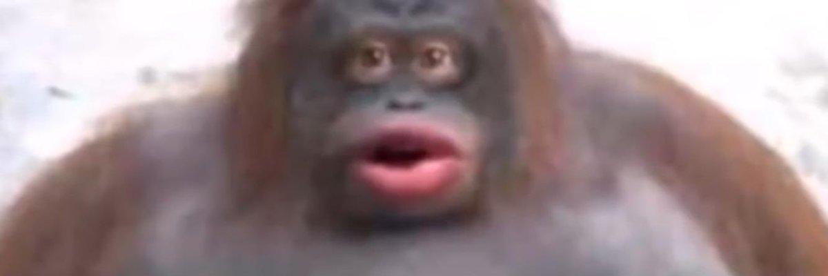 ElPretoz's profile banner image