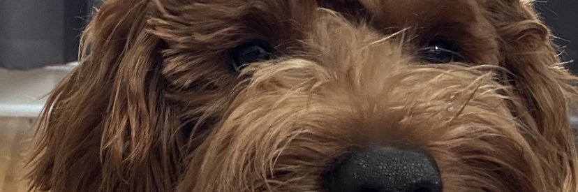 potxtoe's profile banner image