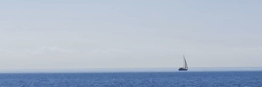 AniRodrigueez's profile banner image