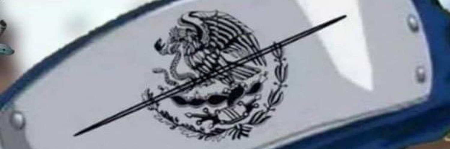 poloalbiter's profile banner image