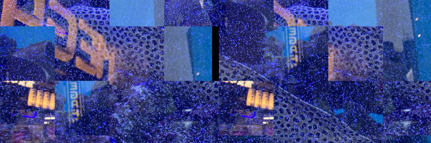 EL_SONOCOS's profile banner image