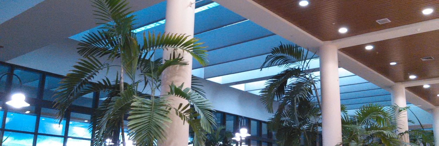 prantea's profile banner image