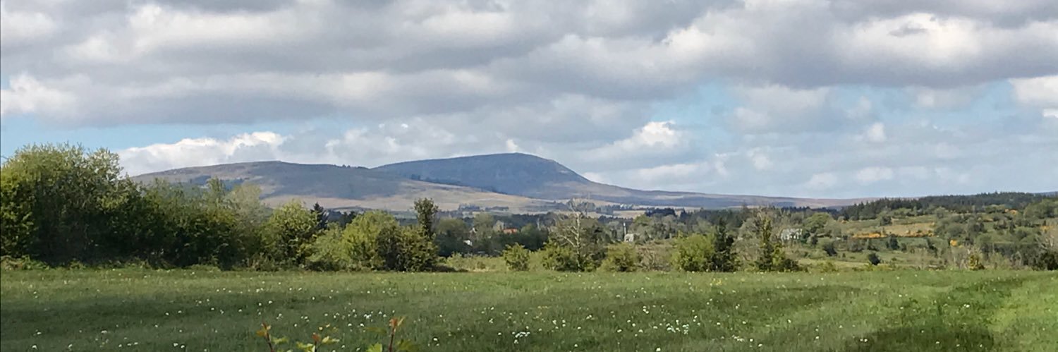 Agnes McManus Dulake banner