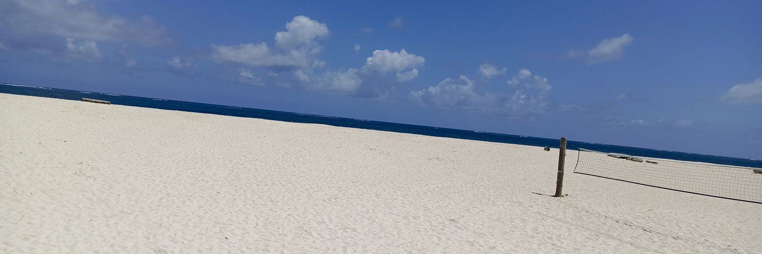 ndekejully's profile banner image