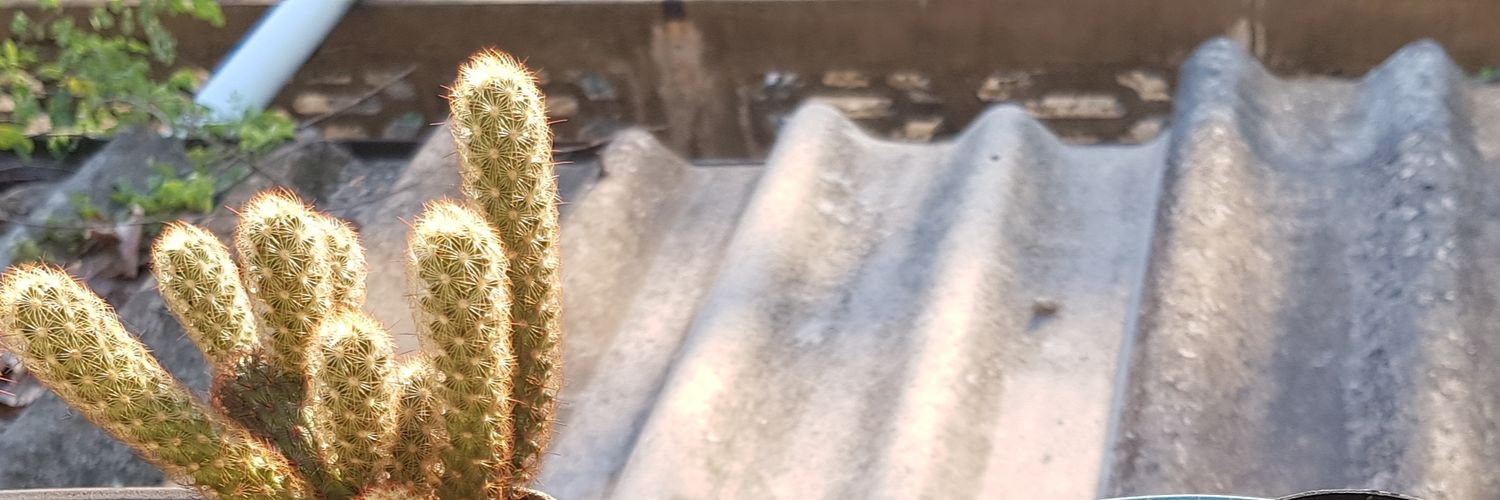Pziiws's profile banner image